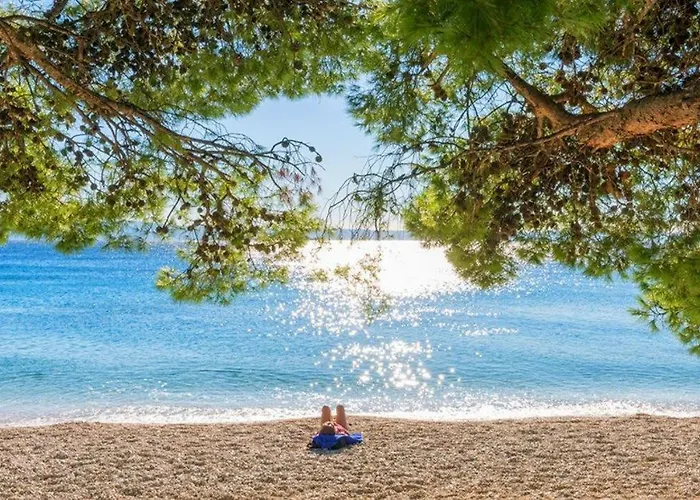 Guest house Valentina 3*